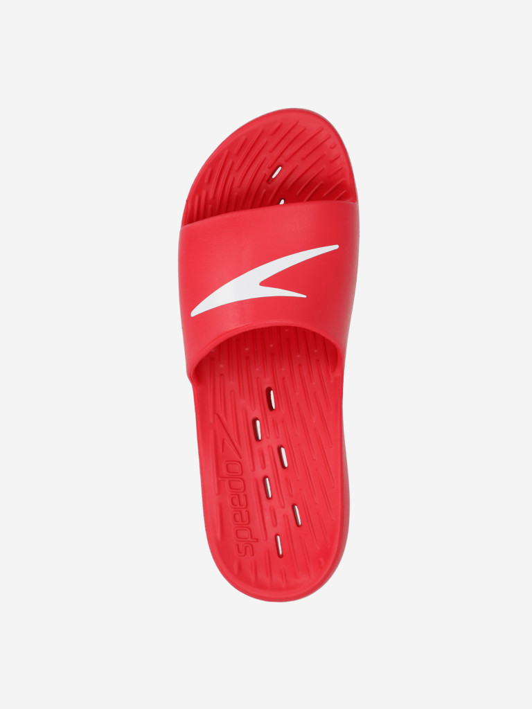 Шлепанцы мужские Speedo Slide AM