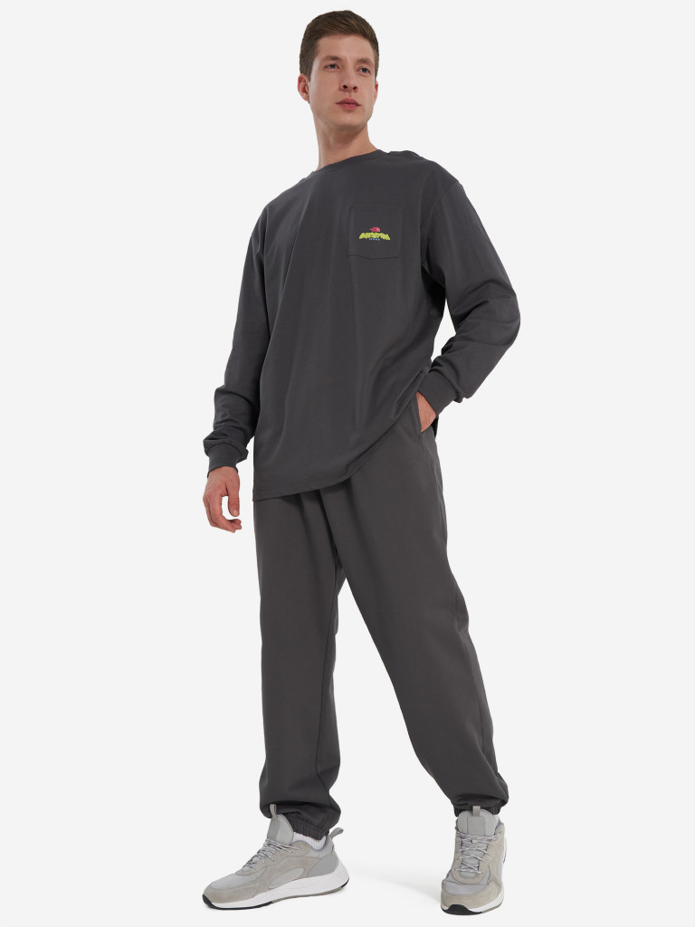 Лонгслив мужской оверсайз The North Face Expedition Celebration