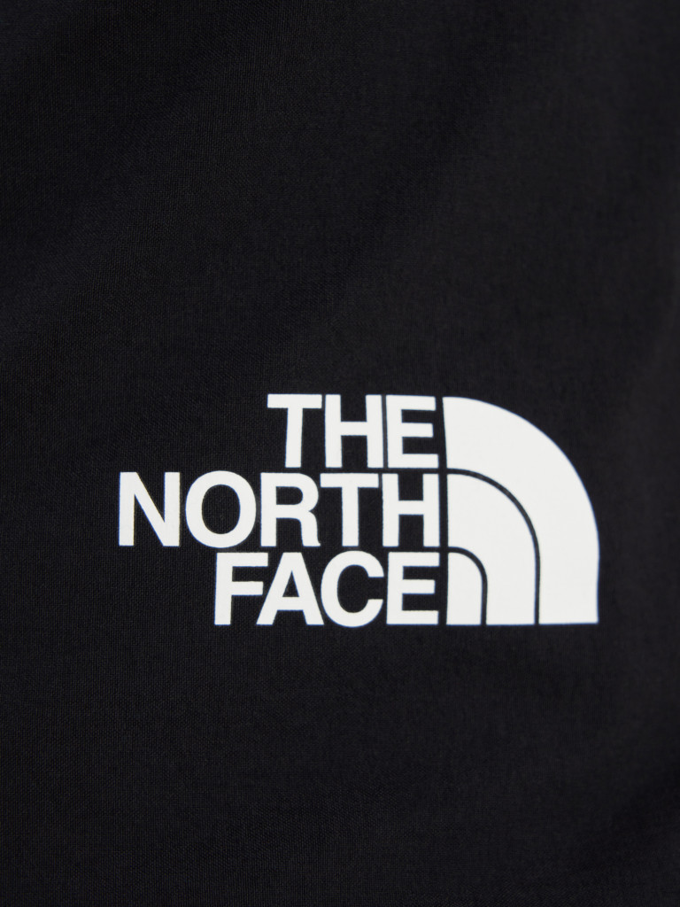 Брюки утепленные мужские The North Face Winter Exploration Reg