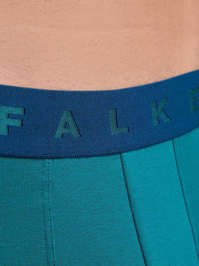 Набор мужских трусов FALKE
