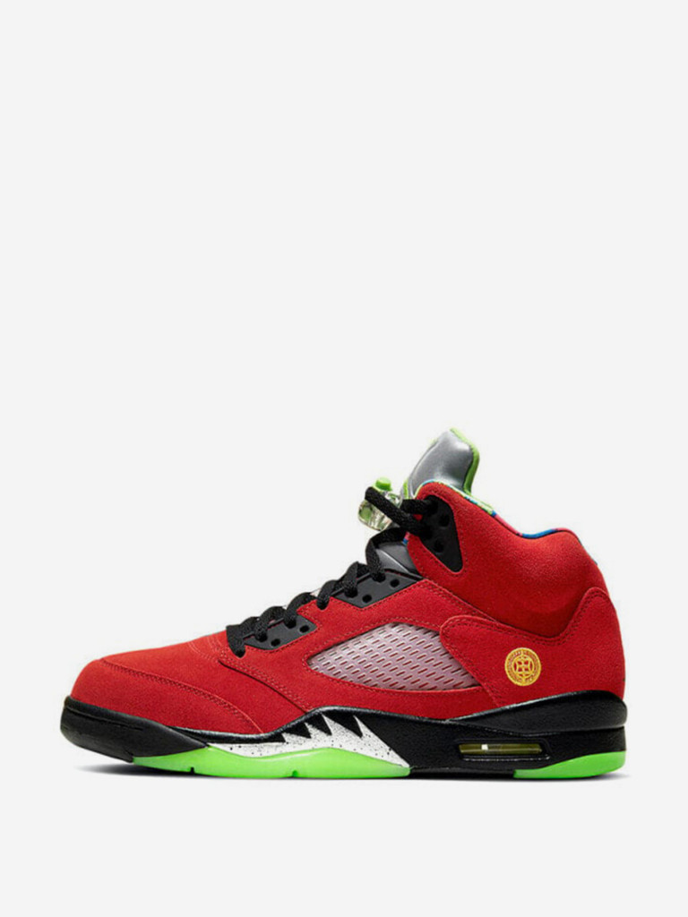 Кроссовки Jordan Air 5 Retro SE What The