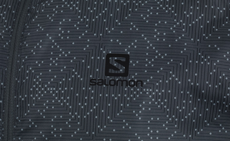 Ветровка мужская Salomon Agile