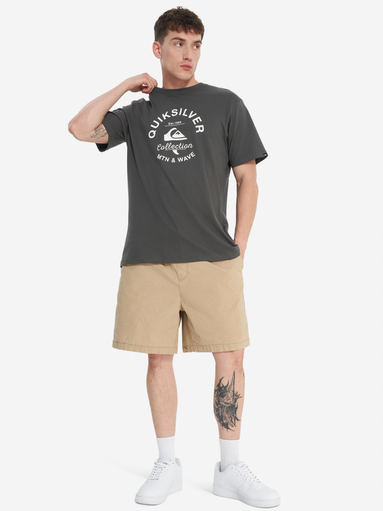 Футболка мужская Quiksilver Bombshell Flaxton