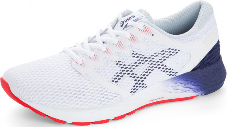 Кроссовки мужские ASICS Roadhawk FF 2