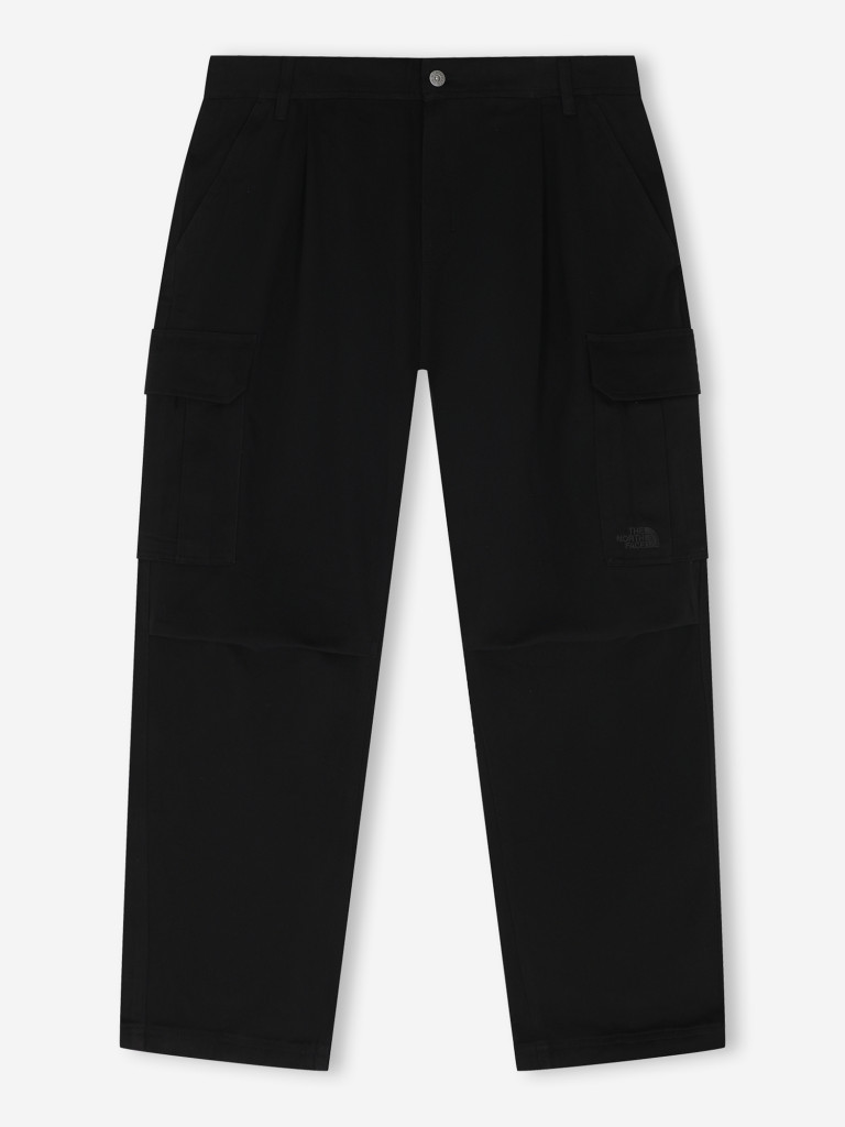 Брюки мужские The North Face Beta Heavy