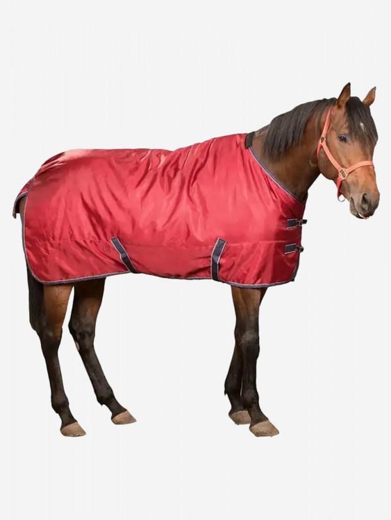 Попона прогулочная теплая для лошадей Sweet Horse