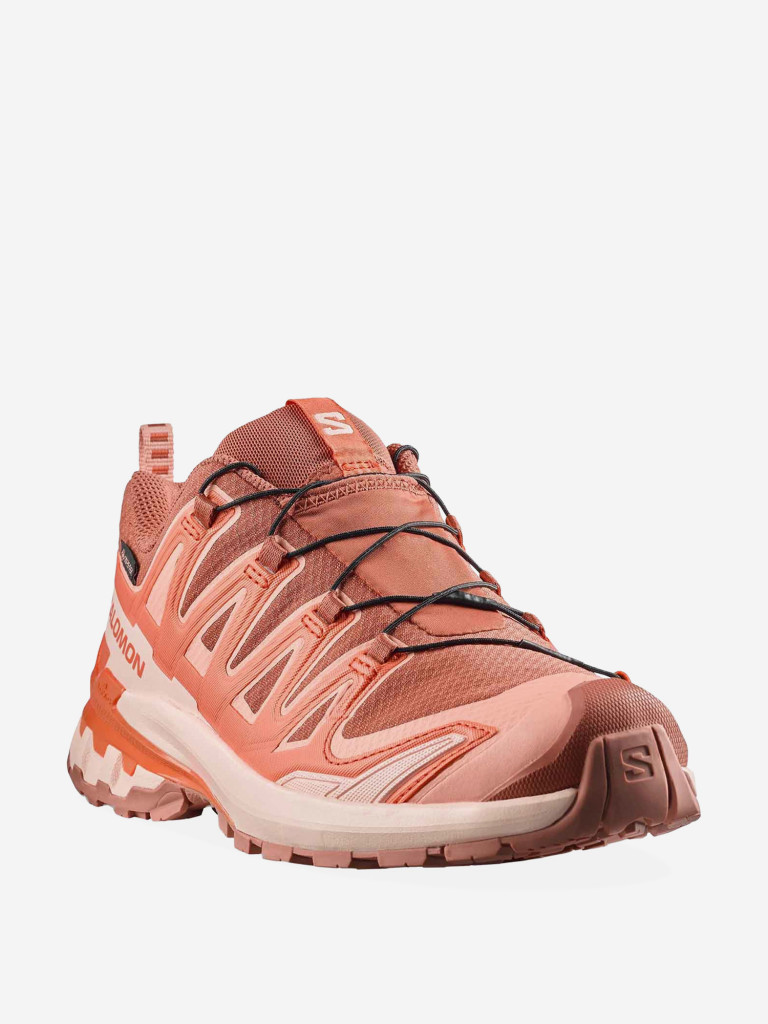 Кроссовки беговые Salomon XA PRO 3D V9 GTX W