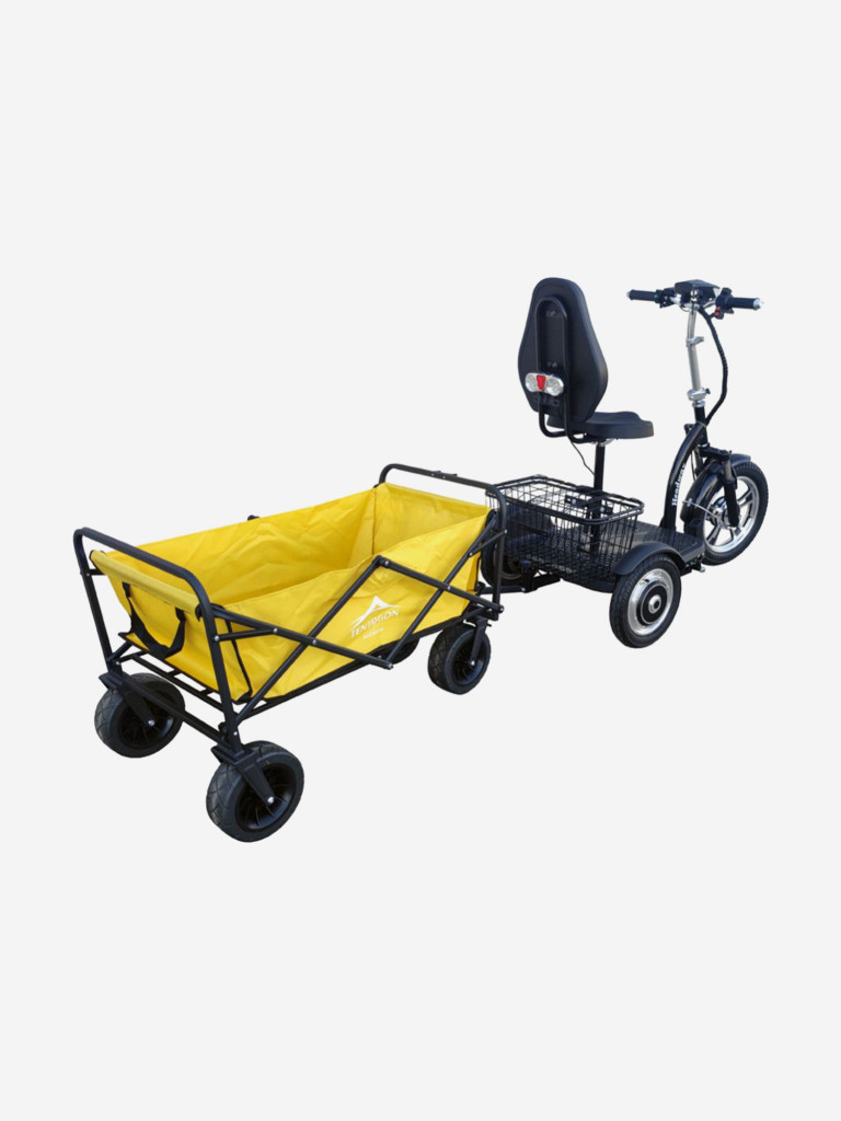 Электротрицикл HEADWAY LUX DUAL TR 700W 15AH LiIon (с прицепом)