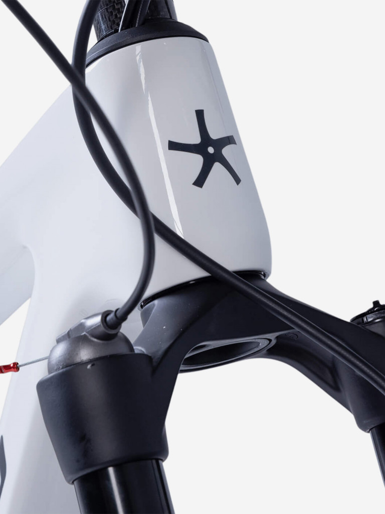 Велосипед MTB DS MXSCOO 9BIKE 29'' W930 белый глянцевый, 2026