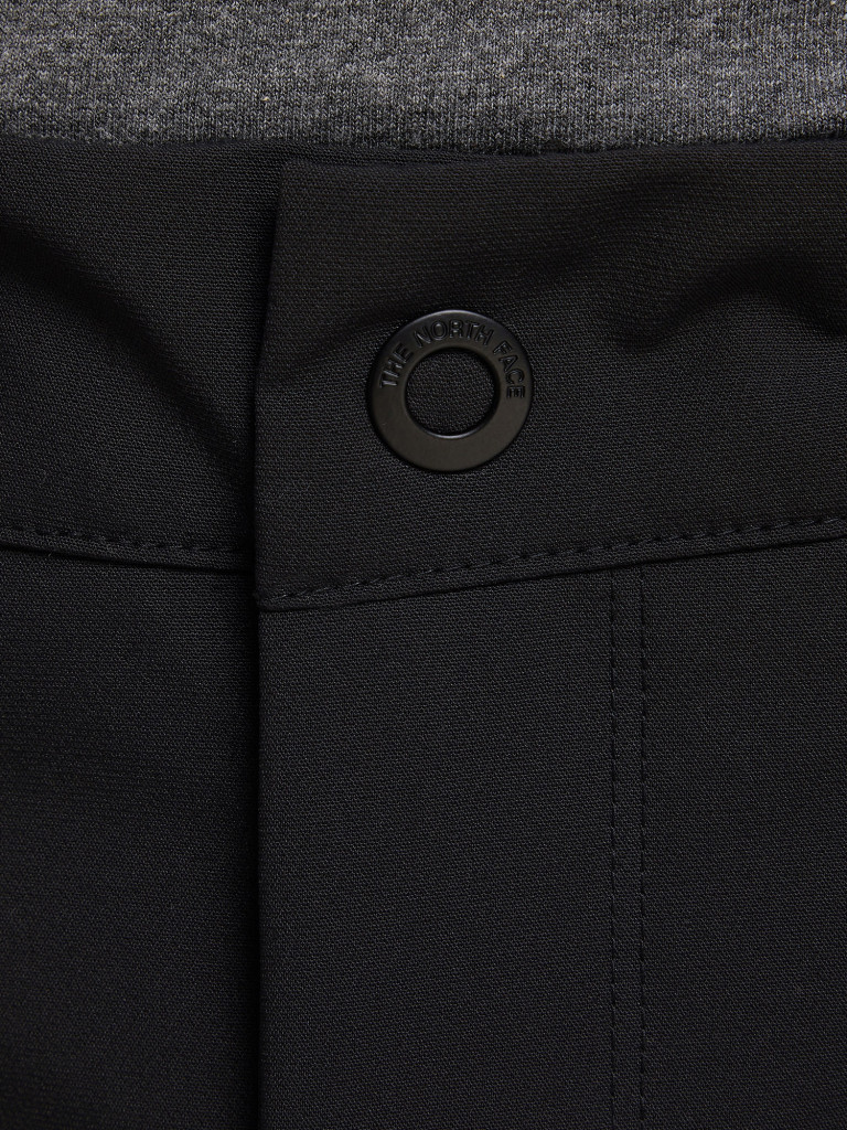 Брюки мужские The North Face Diablo