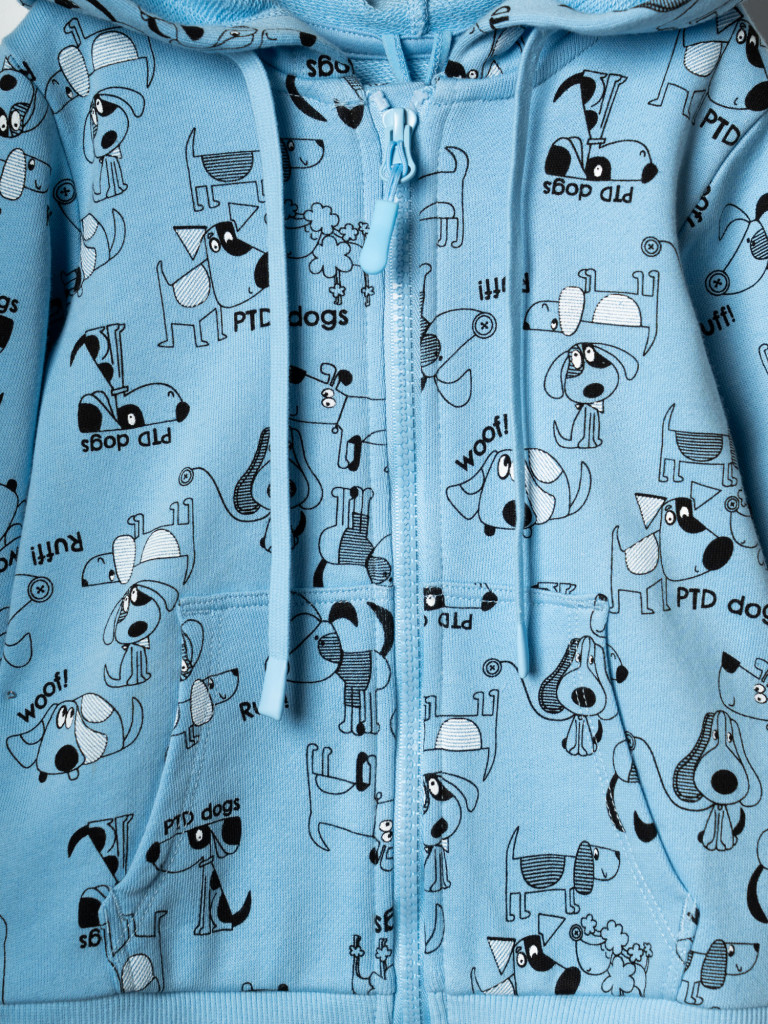 Комплект для мальчиков: толстовка, брюки PlayToday