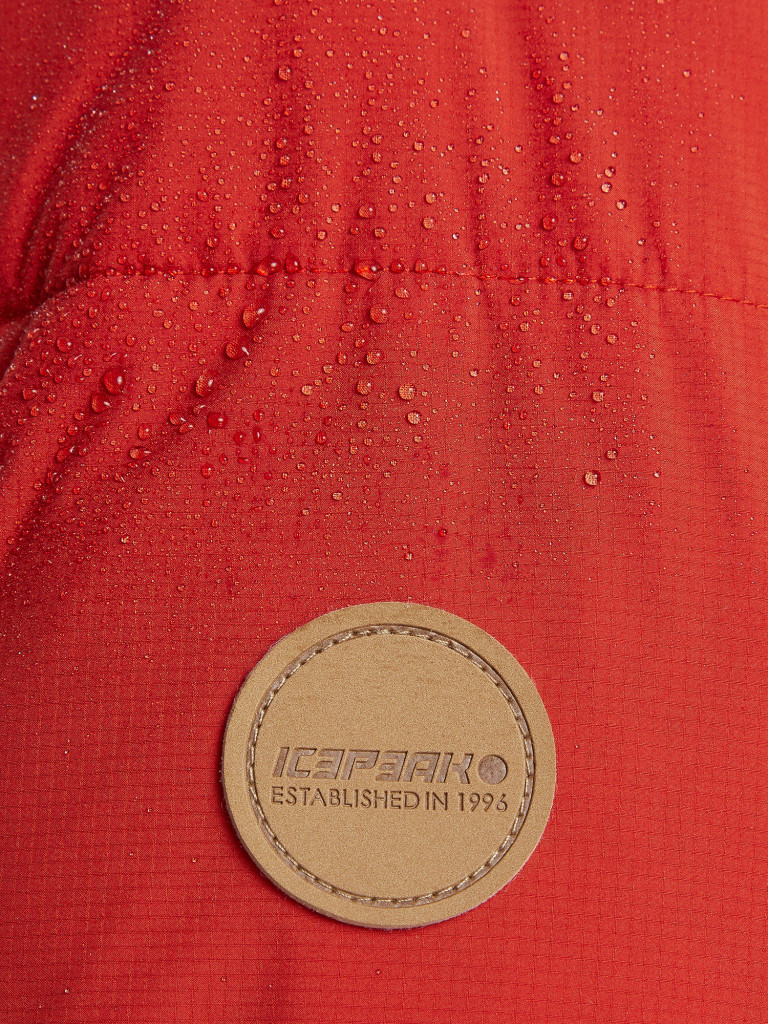 Куртка утепленная мужская IcePeak Bristol