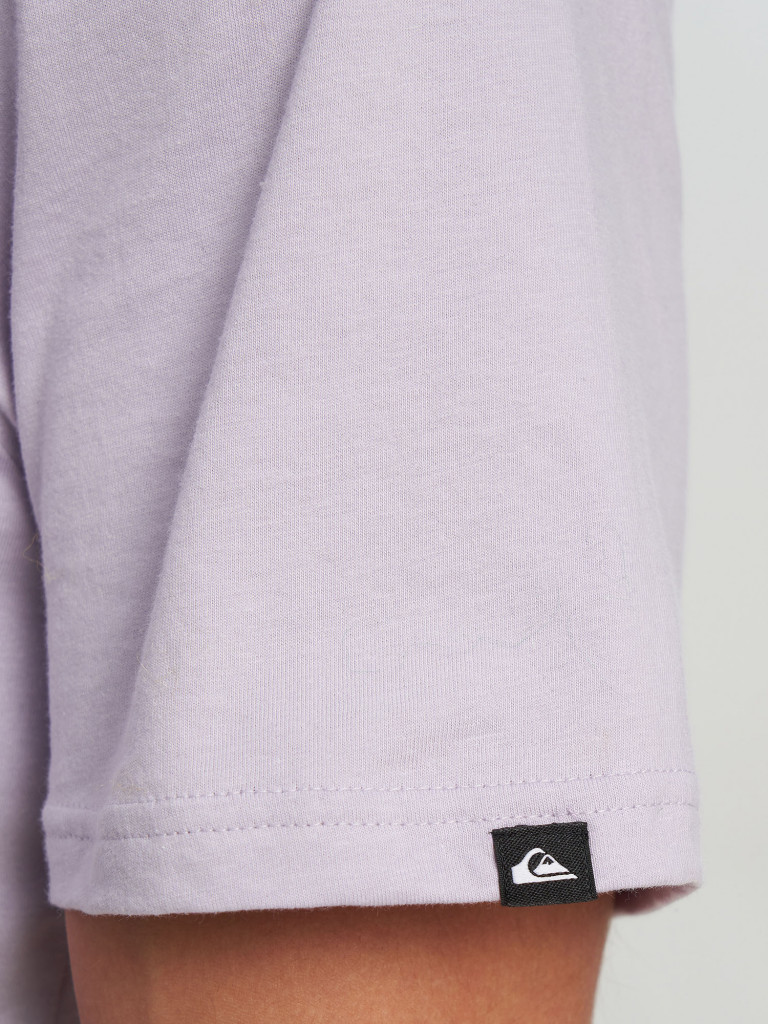 Футболка мужская Quiksilver Ev Vista