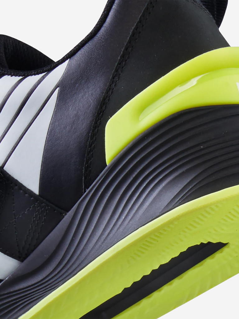 Штангетки TYR L-2 Lifter