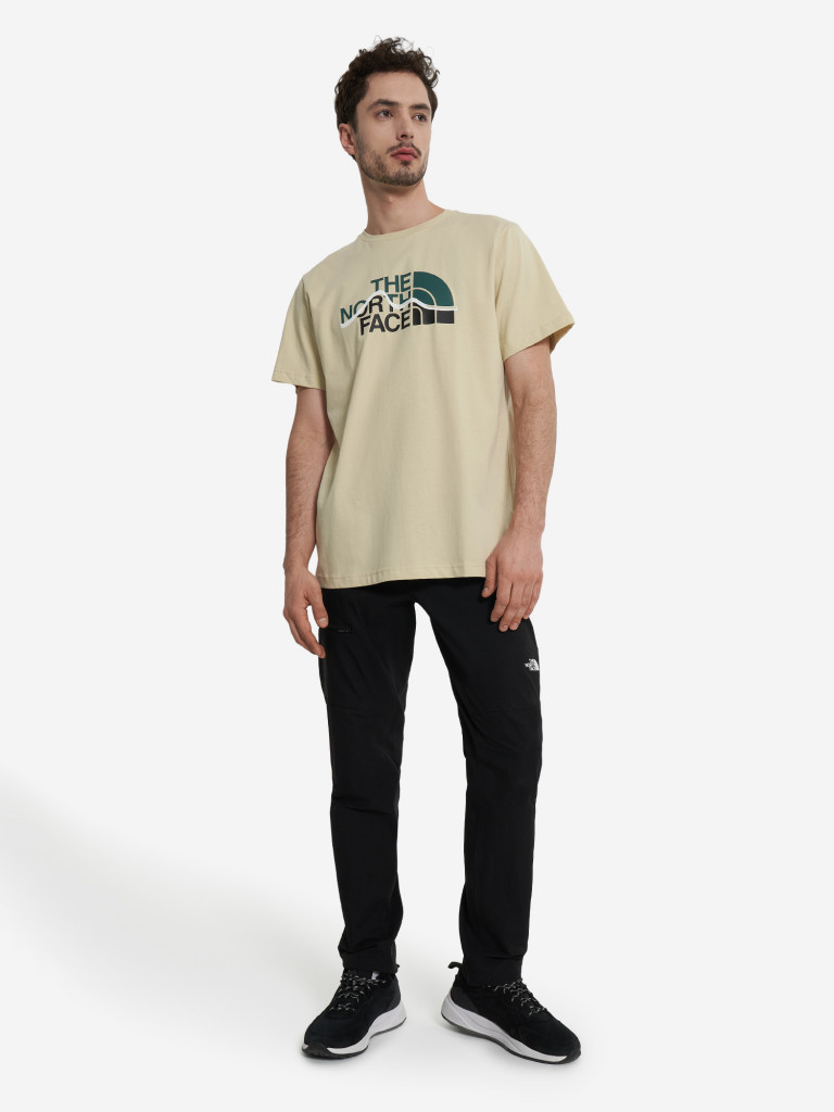 Футболка мужская The North Face Mountain Line