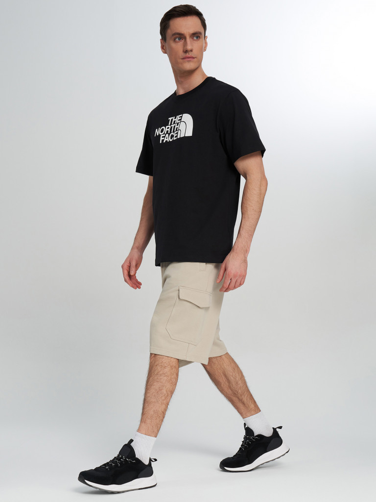 Футболка мужская The North Face Evolution
