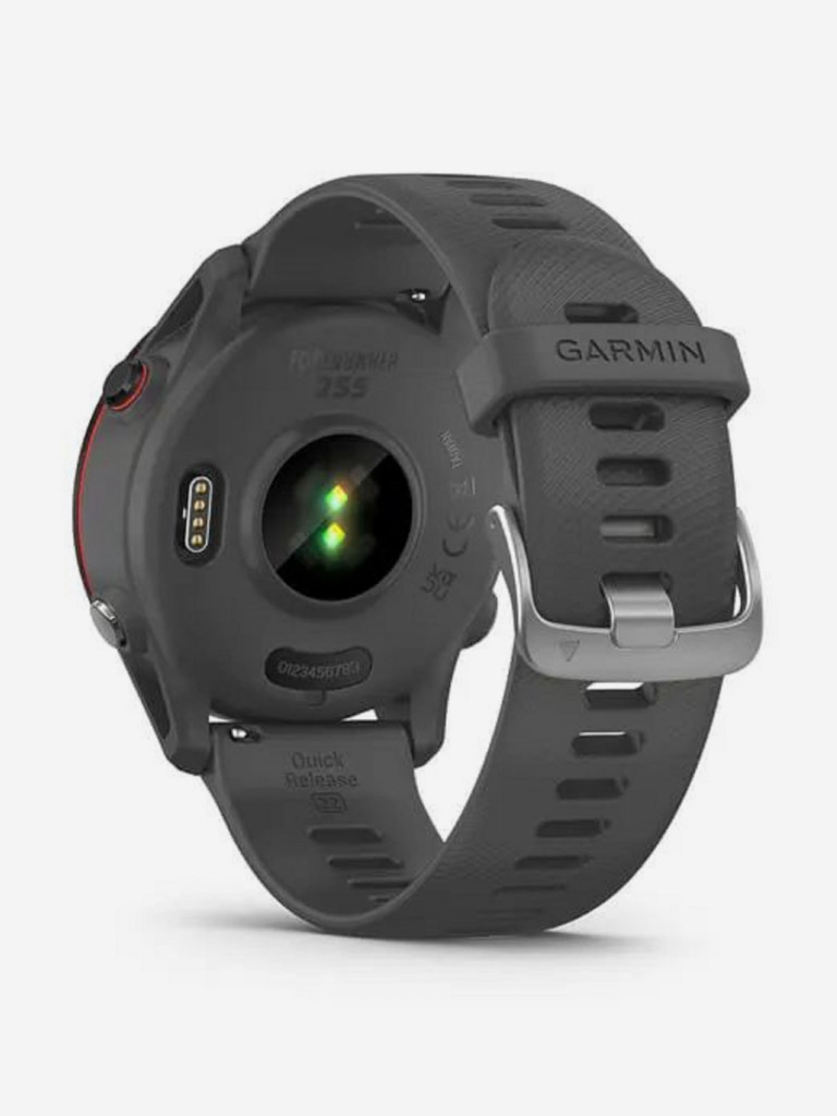 Часы Garmin Forerunner 255 с темно-серым ремешком Slate Grey 010-02641-10