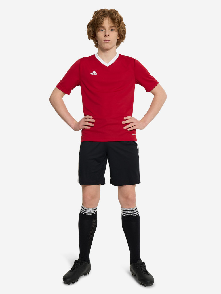 Футболка для мальчиков adidas Entrada 22
