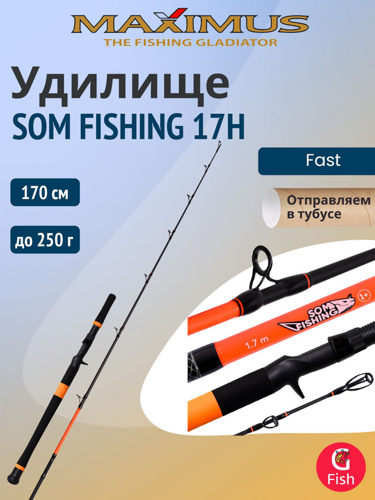 Кастинговый спиннинг для рыбалки Maximus SOM FISHING 17H 1,7m 250g