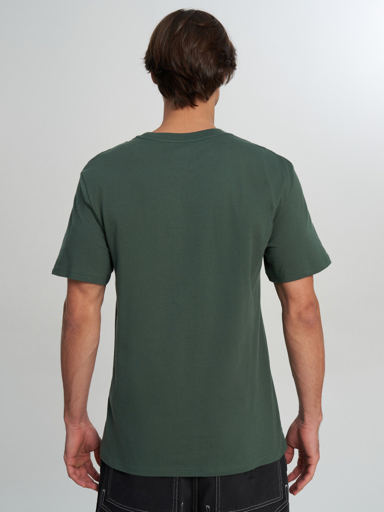 Футболка мужская Quiksilver Ev Vista