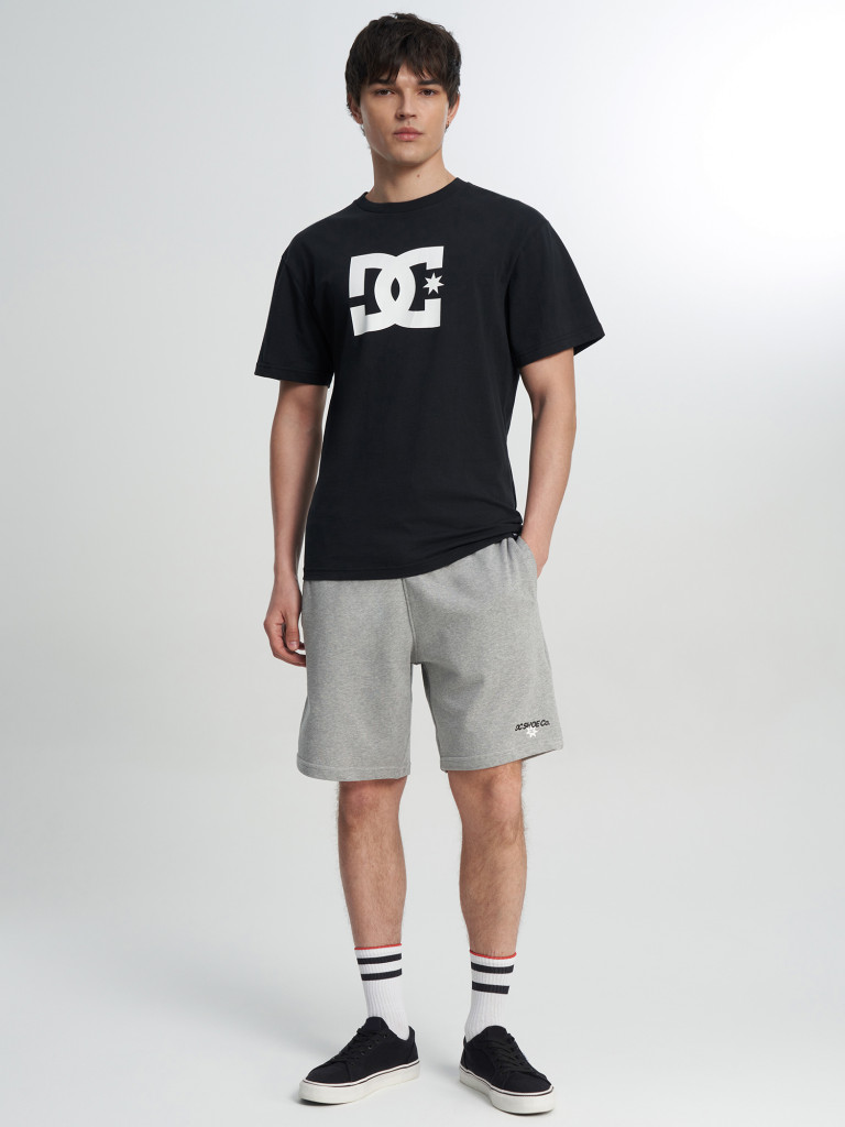 Футболка мужская DC Shoes Star