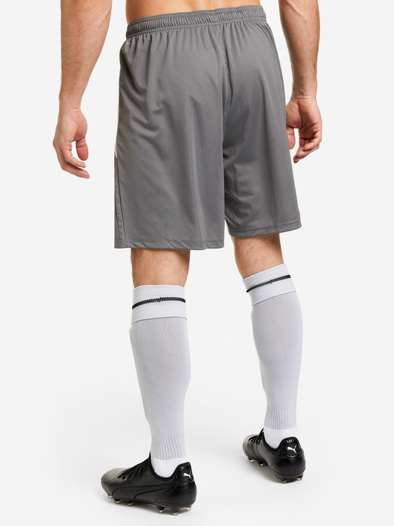 Шорты мужские PUMA teamLIGA