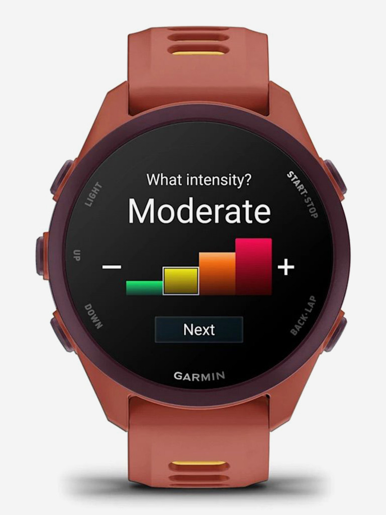 Спортивные часы GARMIN Forerunner 170 Music