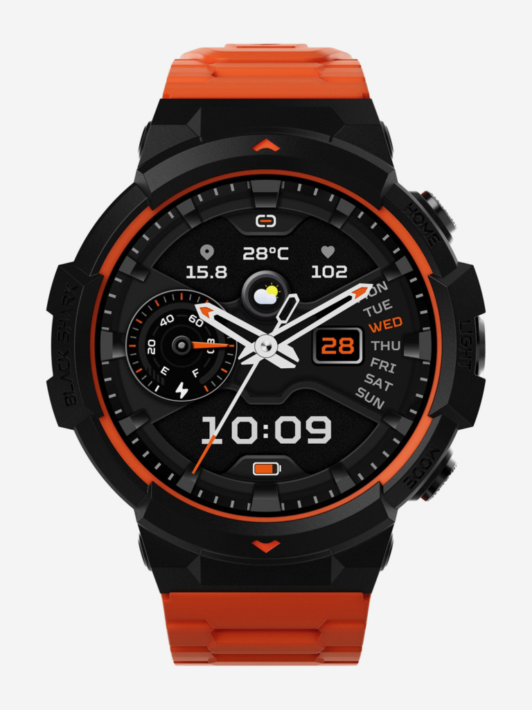 Смарт-часы Black Shark BS-W2402, AMOLED, черный,1746933