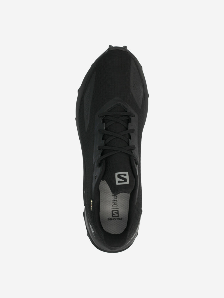 Кроссовки мужские Salomon Alphacross Blast Gtx