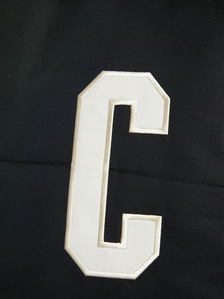 Куртка утепленная мужская Champion