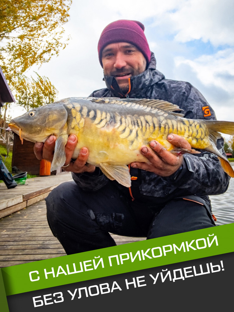 Прикормка для рыбы F-FISHING CARP Шелковица 1кг (15)