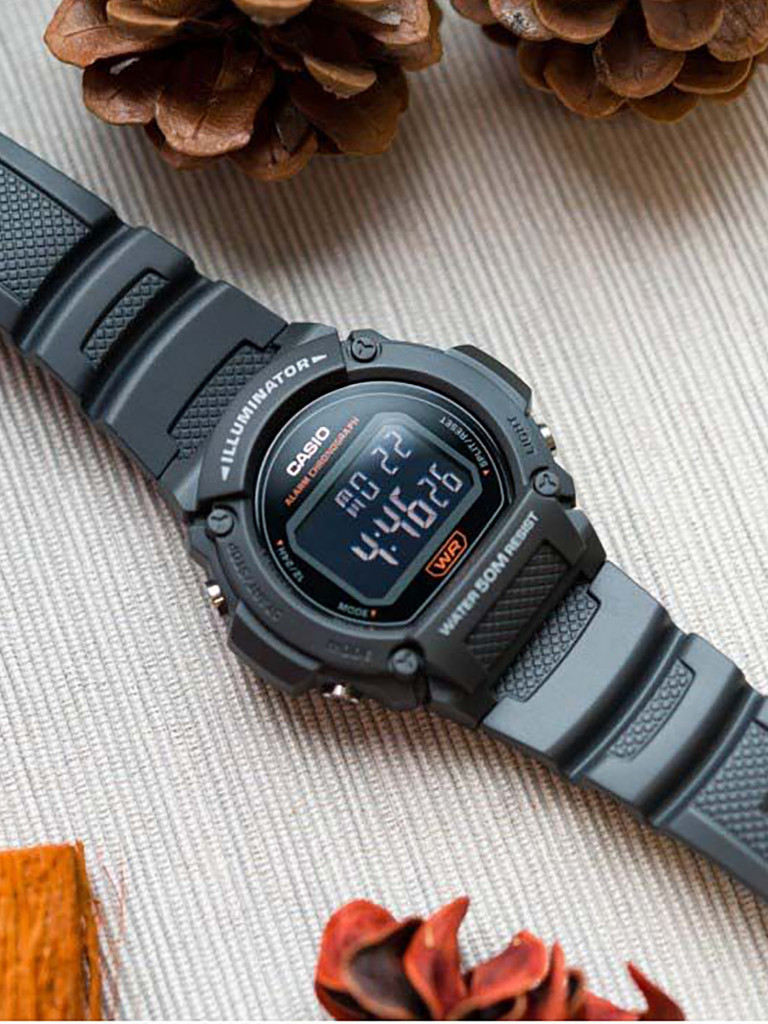 Спортивные часы CASIO ILLUMINATOR W-219H-8BVEF
