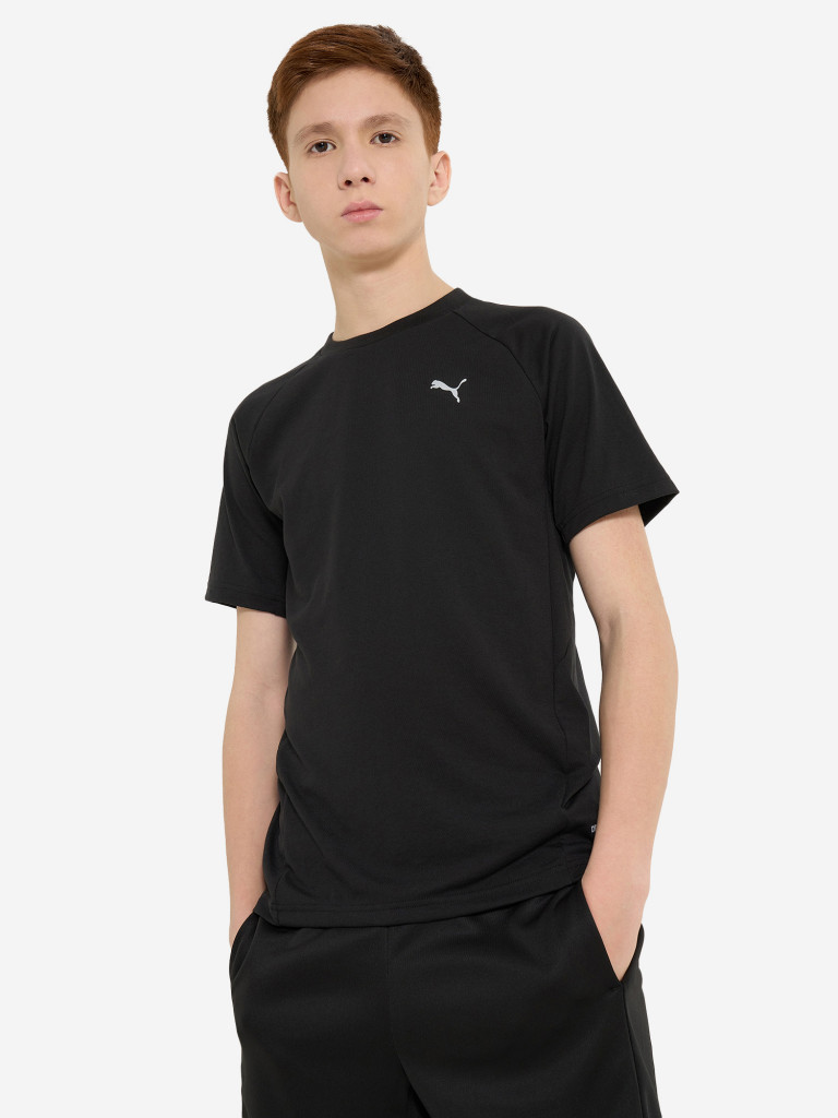 Футболка для мальчиков PUMA Evostripe