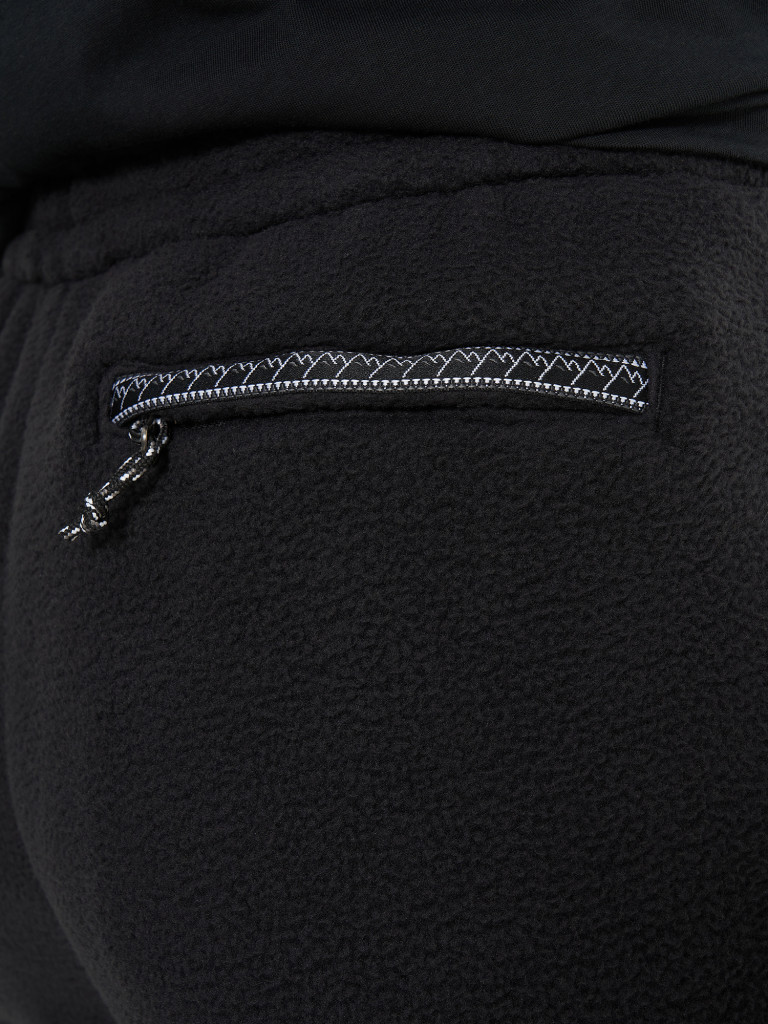 Брюки флисовые мужские The North Face Fleeski
