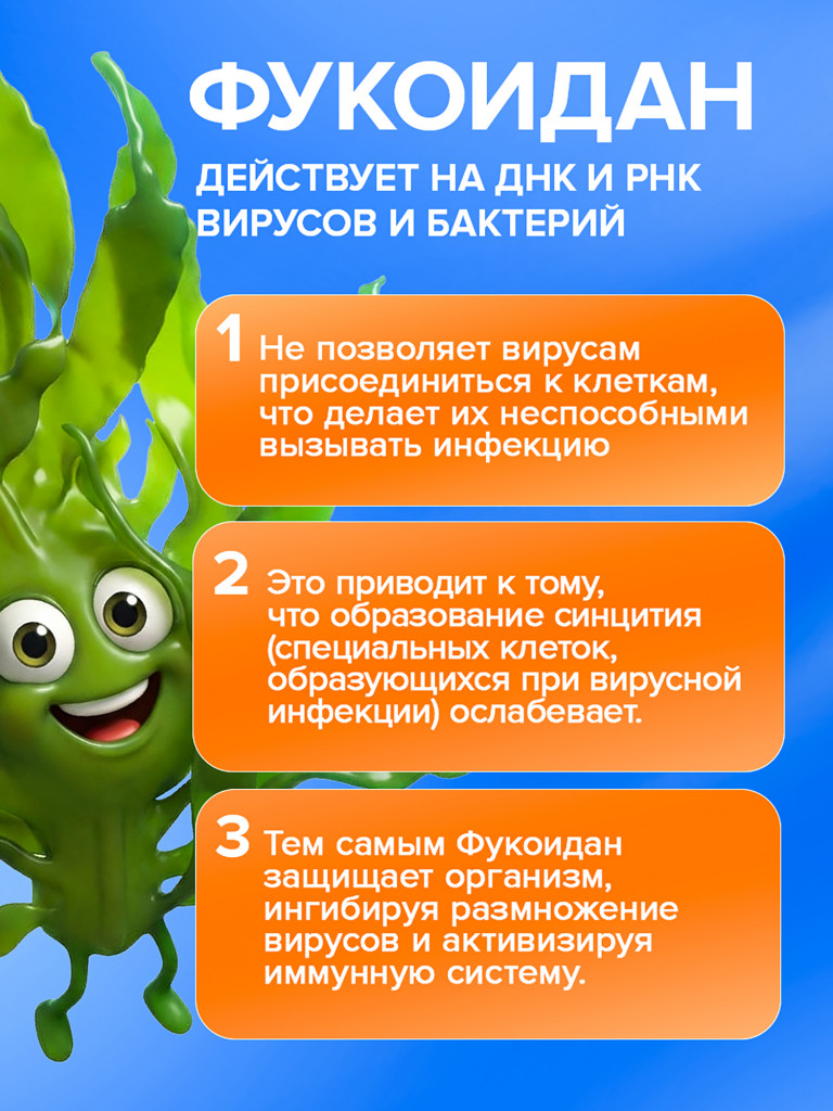 Морской комплекс витаминов для иммунитета Иммуностимул, гидролизат молок лососевых, ганглии кальмара и фукоидан, поддержка энергии, 20 капсул / Доктор Море