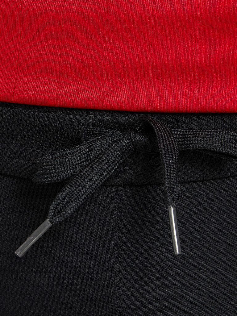 Брюки мужские adidas Tiro