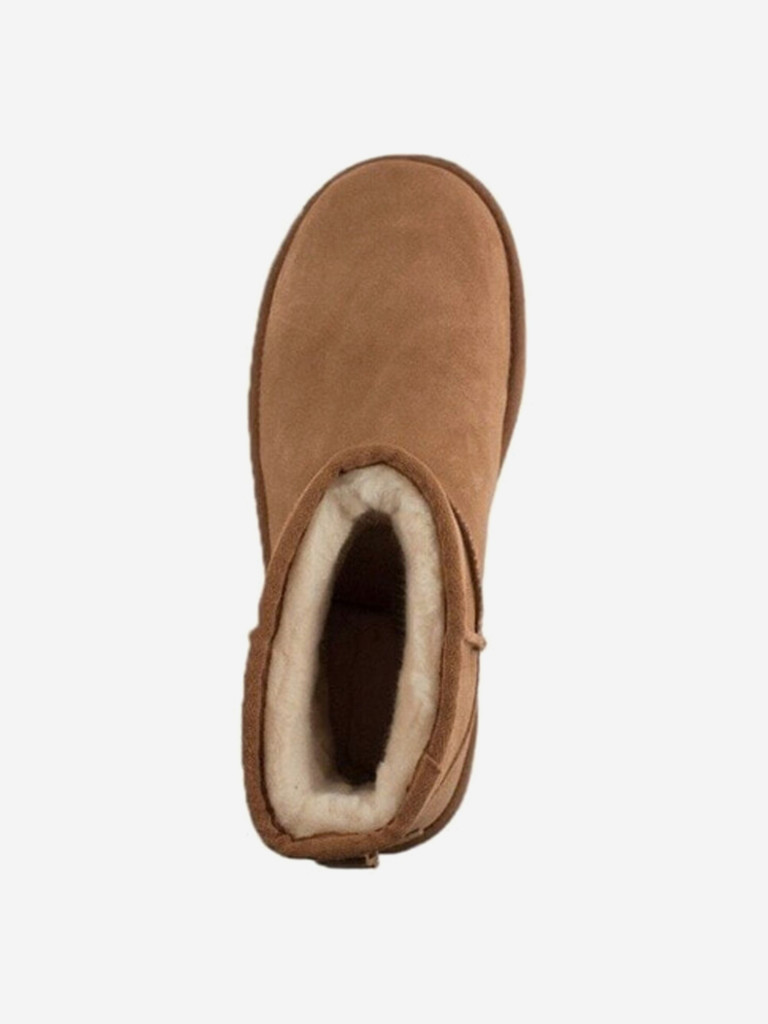 Ботинки утепленные UGG Classic Mini