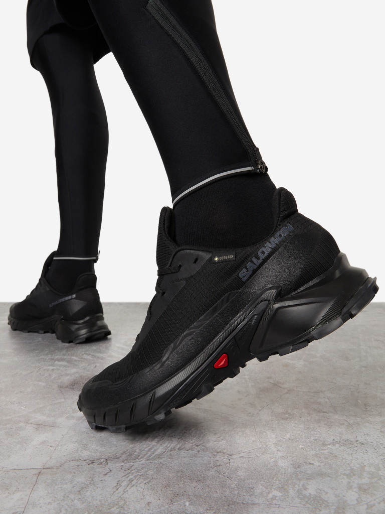 Кроссовки мужские Salomon Alphacross 5 Gtx