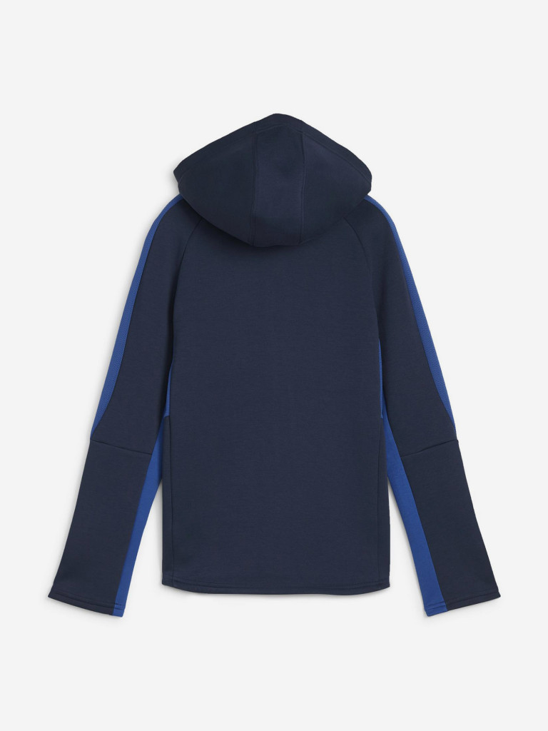 Толстовка для мальчиков PUMA Evostripe