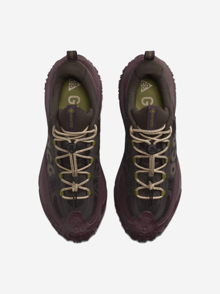 Кроссовки Nike ACG Mountain Fly 2 Low GORE-TEX