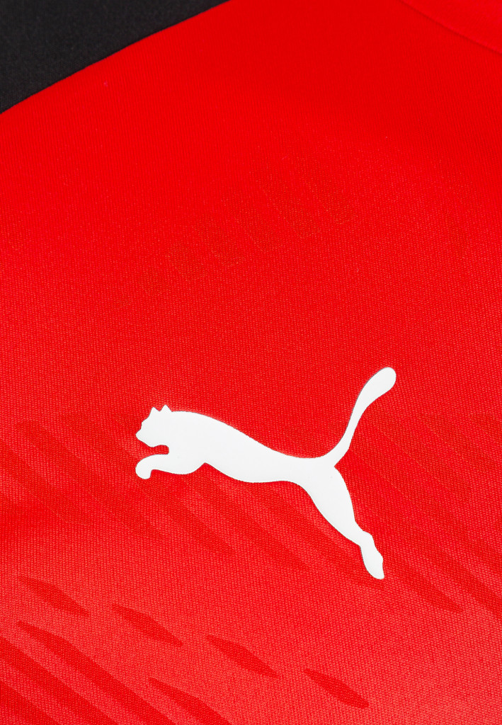 Футболка мужская PUMA