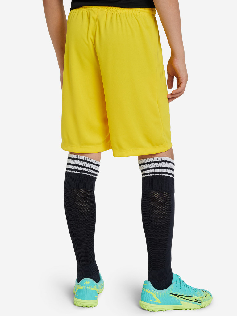 Шорты для мальчиков Nike Kids Short Park III