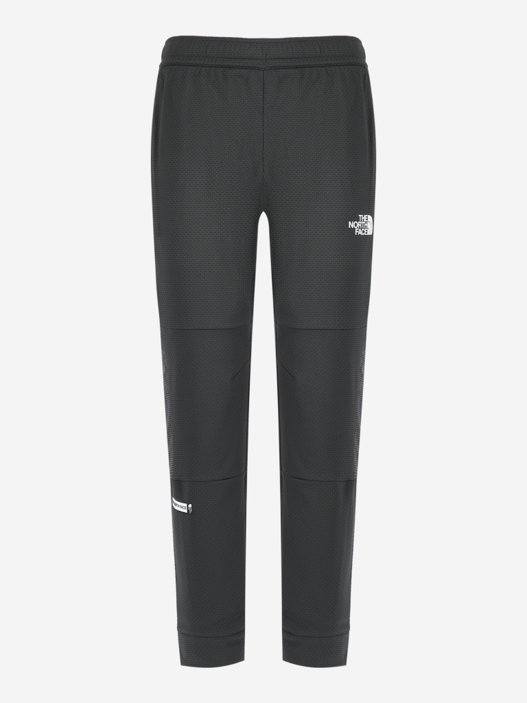 Брюки мужские The North Face Mountain Athletics