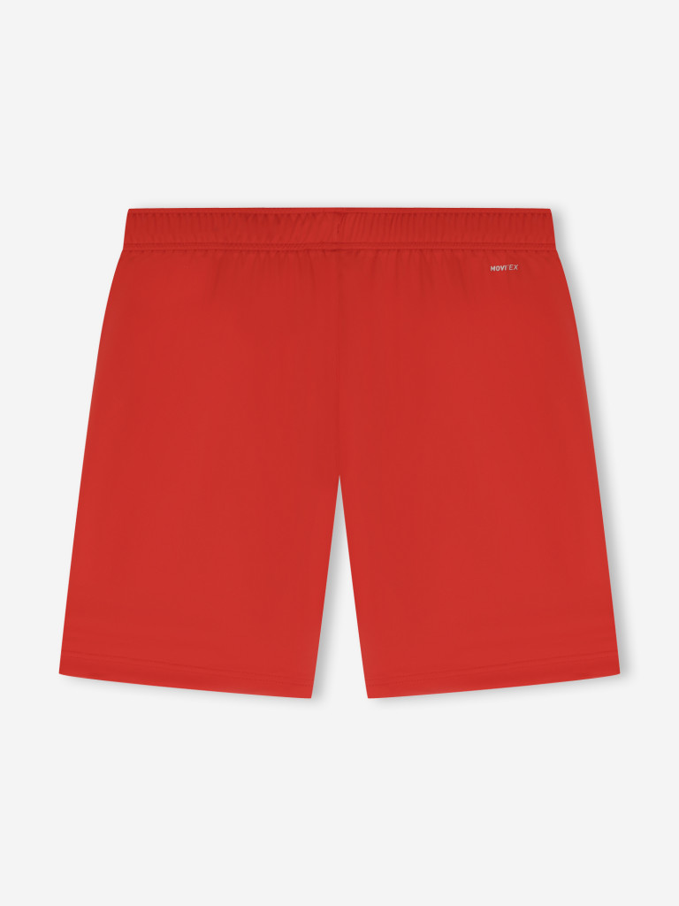 Шорты мужские Demix Matchday