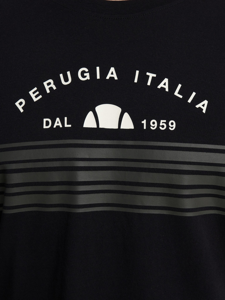 Футболка мужская Ellesse