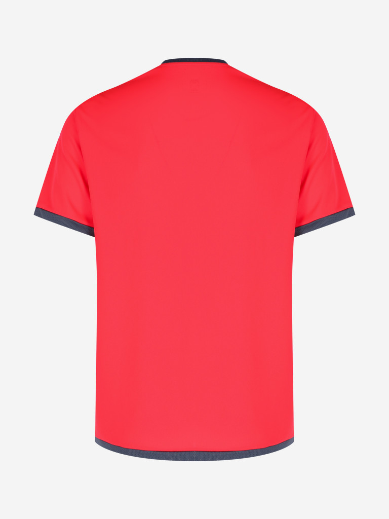 Футболка мужская PUMA Team Liga