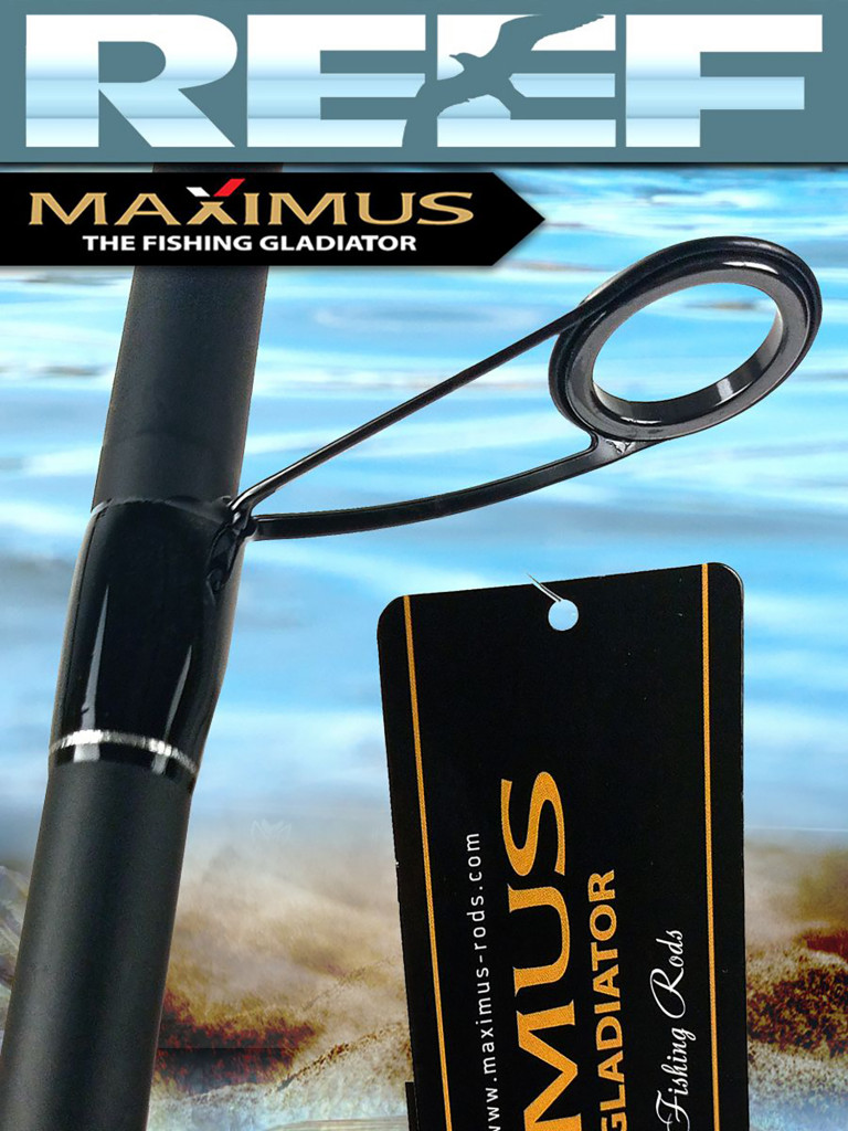 Спиннинг для рыбалки Maximus REEF 393MH 3,9 м 17-50 g