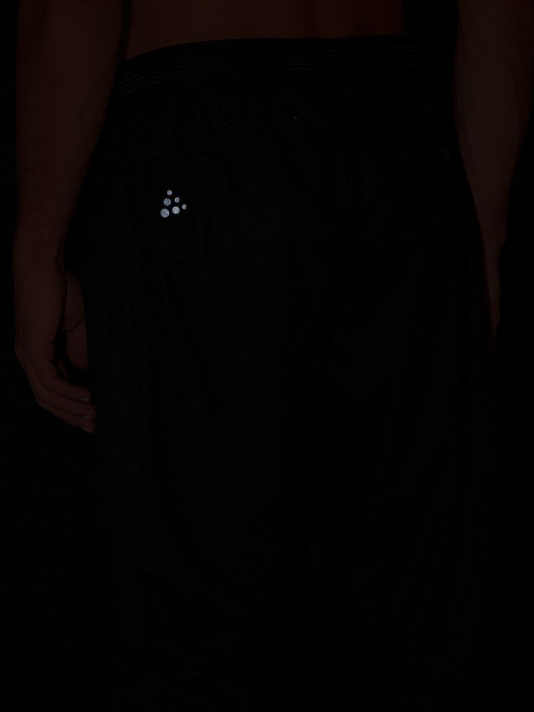 Брюки мужские Craft Pro Hydro Cargo