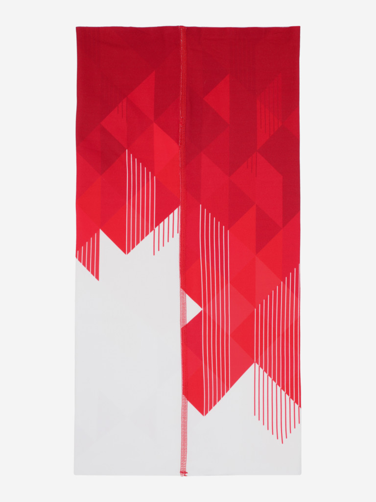 Гейтор Nordski Race