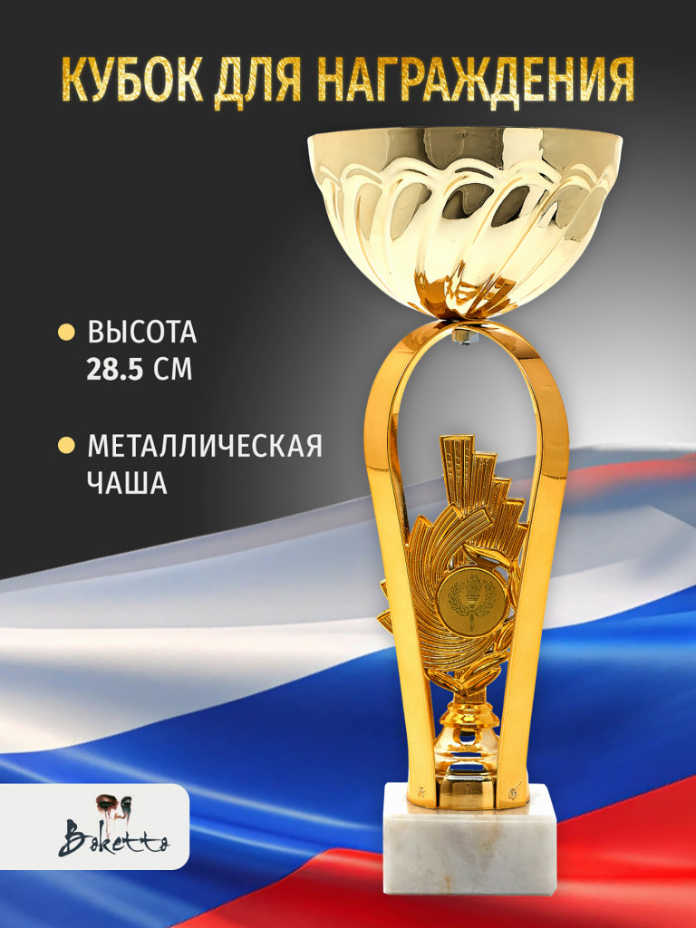 Спортивный кубок для награждения победителя 28.5 см